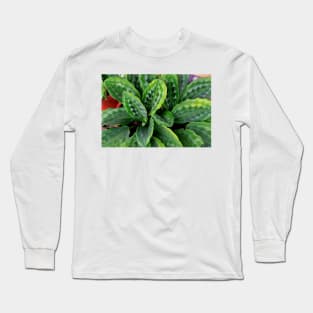 Green Plant Long Sleeve T-Shirt